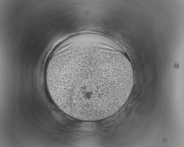 X0000116810050201001151152