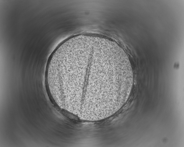 X0000116810052201001151152