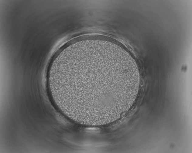 X0000116810053201001151152