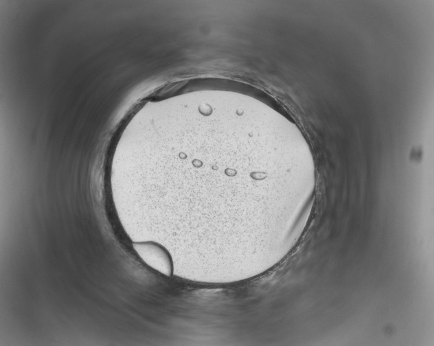 X0000116810054201001151152