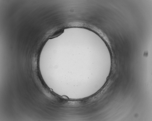 X0000116810057201001151152