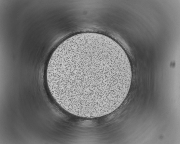 X0000116810058201001151152