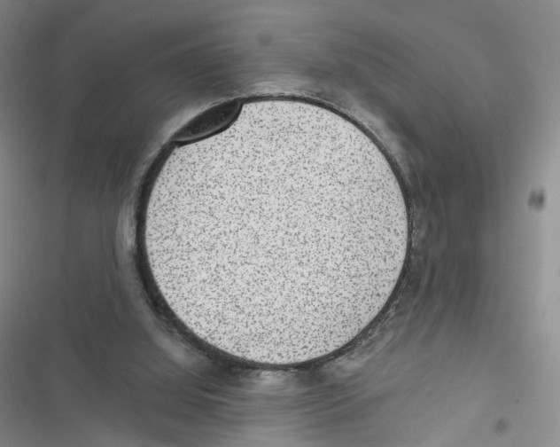 X0000116810060201001151152