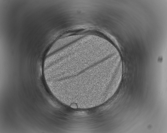 X0000116810061201001151152