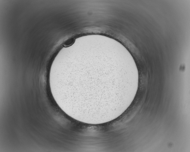 X0000116810064201001151152