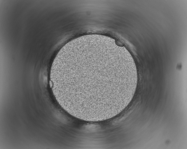 X0000116810067201001151152
