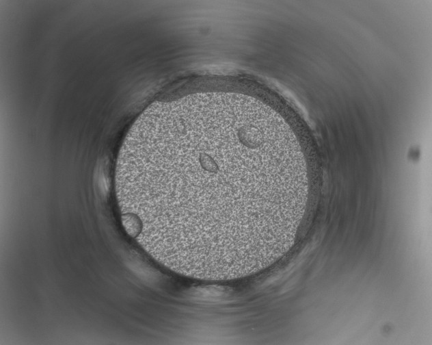 X0000116810069201001151152