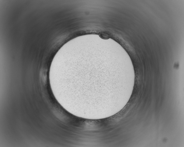 X0000116810070201001151152