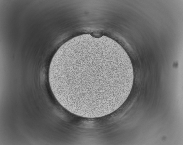 X0000116810071201001151152