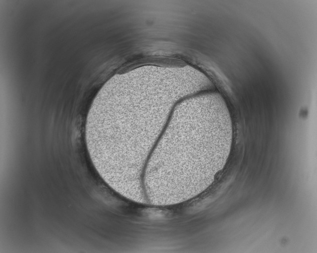 X0000116810073201001151152