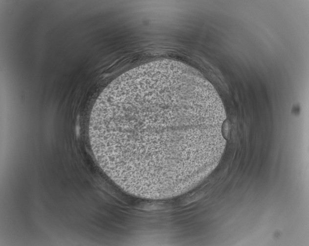 X0000116810075201001151152