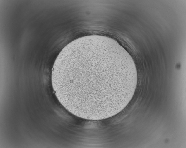 X0000116810077201001151152