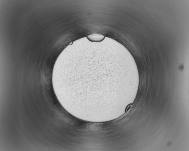 X0000116810078201001151152