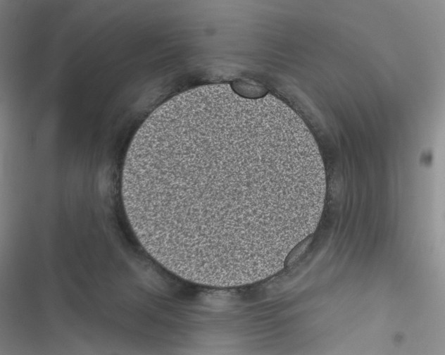 X0000116810079201001151152