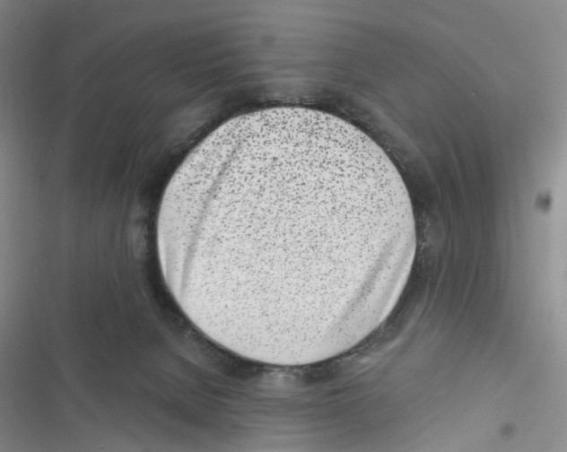 X0000116810080201001151152