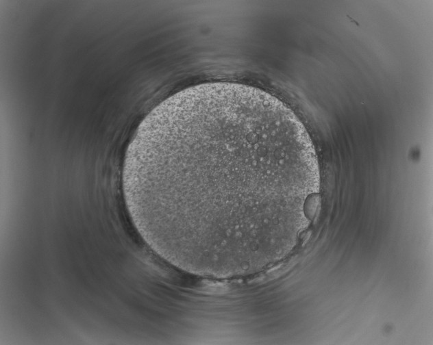 X0000116810083201001151152
