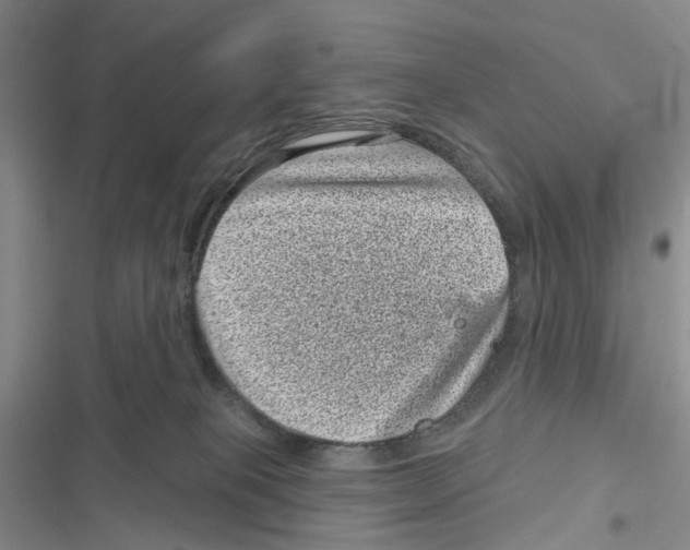 X0000116810085201001151153
