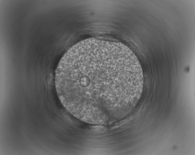 X0000116810087201001151153