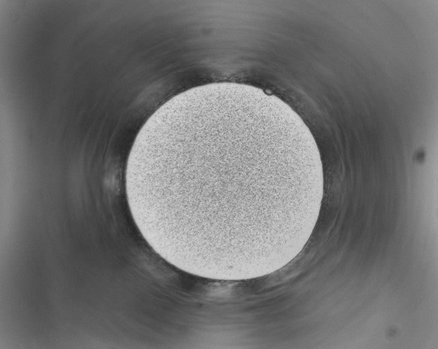 X0000116810090201001151153