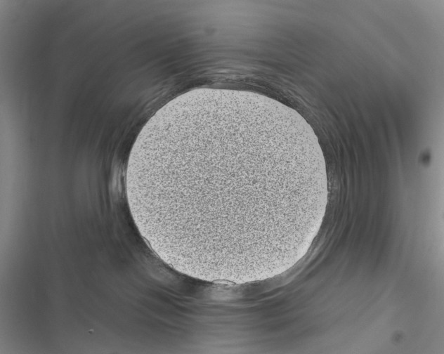 X0000116810094201001151153