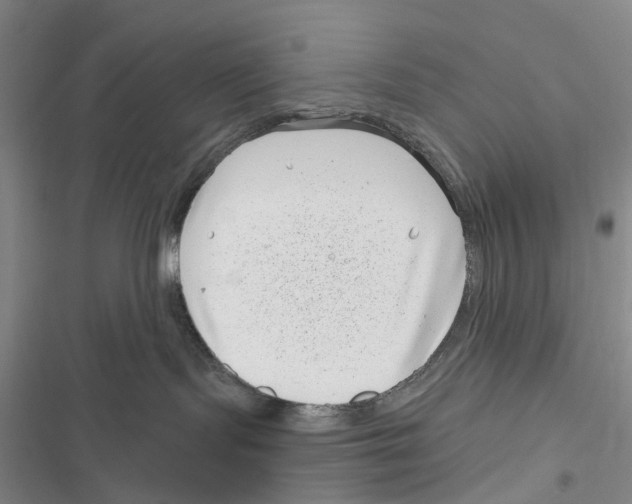 X0000116810095201001151153