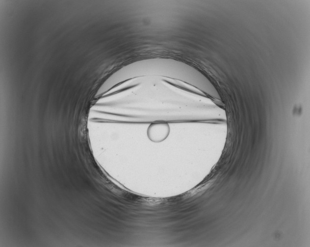 X0000116810096201001151153