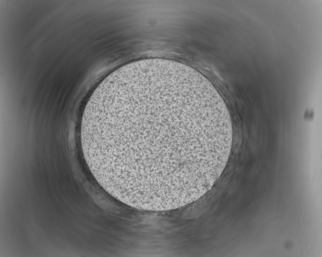 X0000116810098201001151152