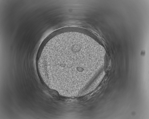 X0000116810099201001151152