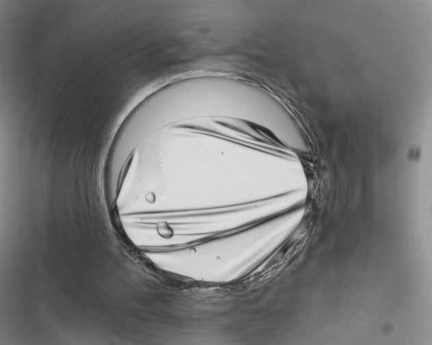 X0000116810100201001151152