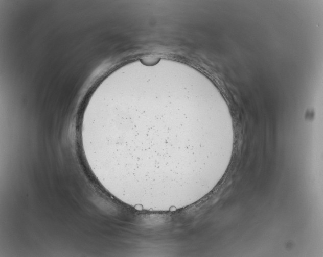 X0000116810102201001151152