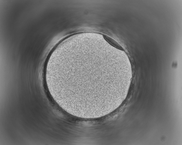 X0000116810103201001151152