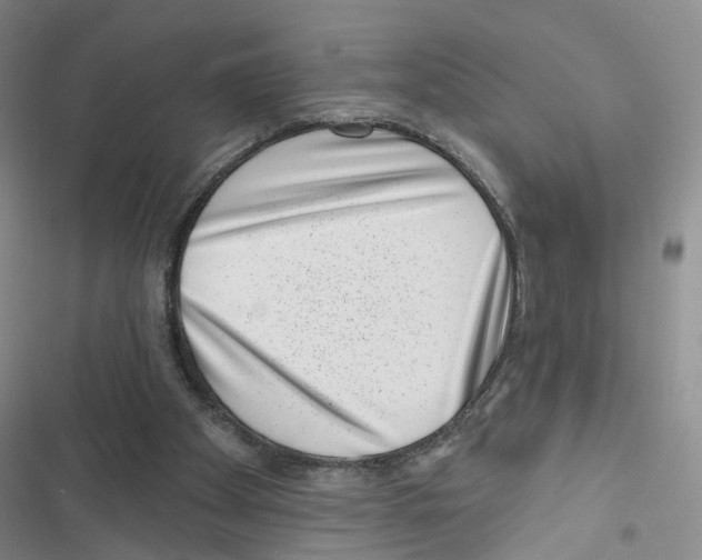 X0000116810105201001151152