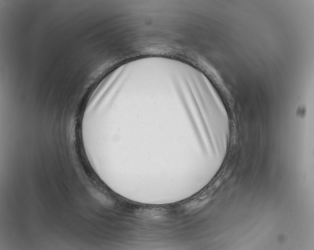 X0000116810106201001151152