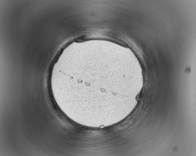 X0000116810107201001151152