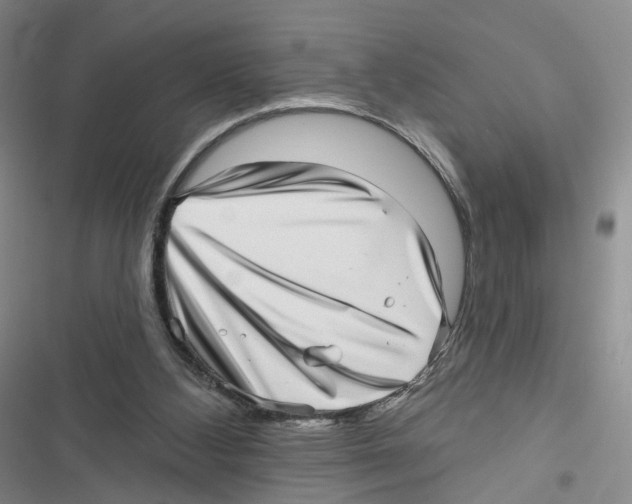 X0000116810108201001151152
