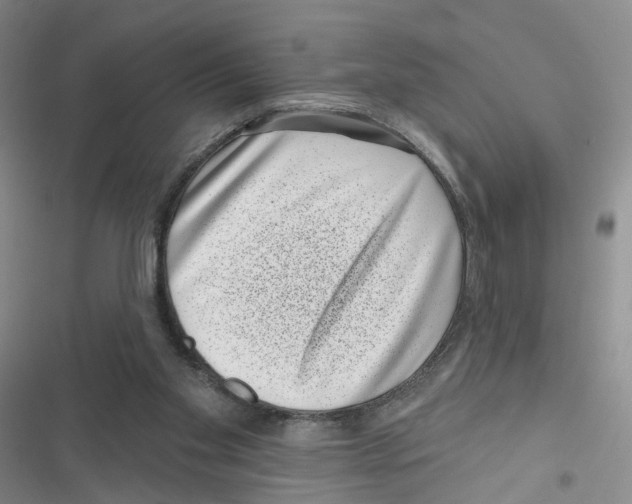 X0000116810109201001151152