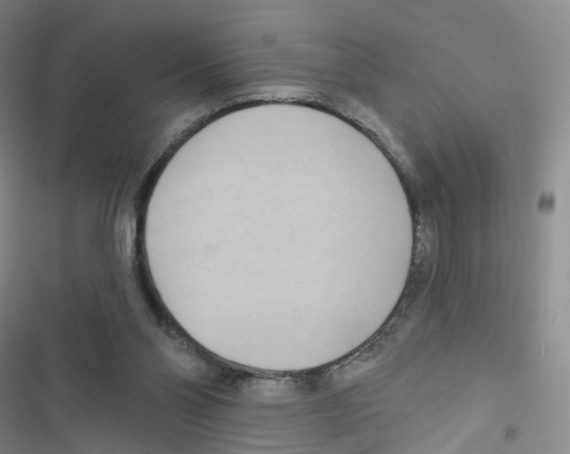 X0000116810110201001151152