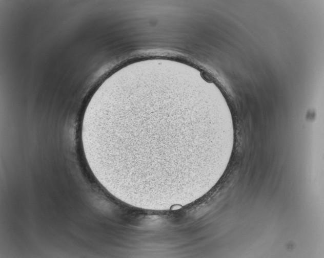 X0000116810111201001151152