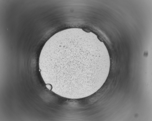X0000116810113201001151152