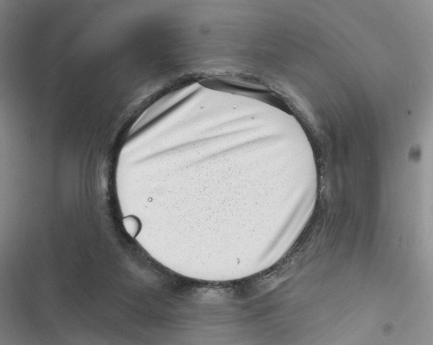 X0000116810115201001151152