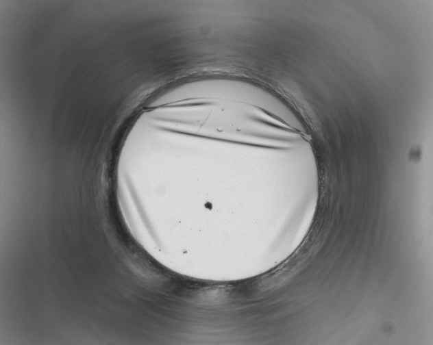 X0000116810116201001151152