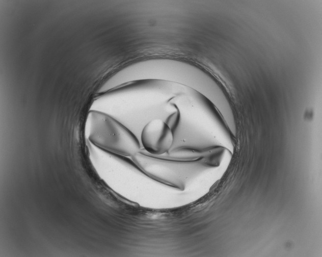 X0000116810117201001151152