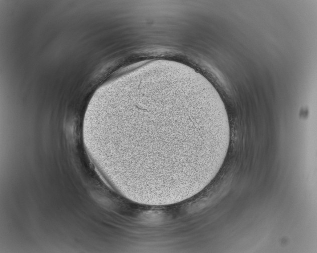 X0000116810119201001151152