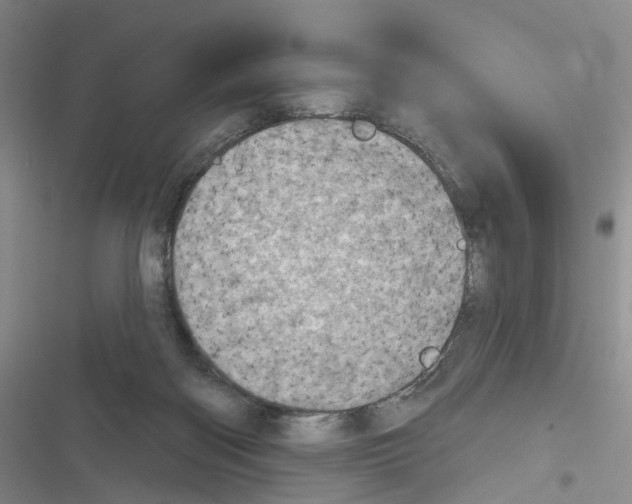 X0000116810122201001151152