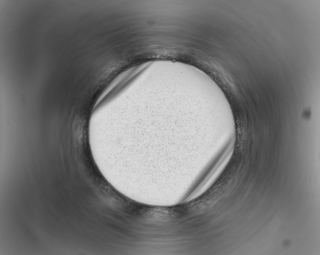 X0000116810123201001151152