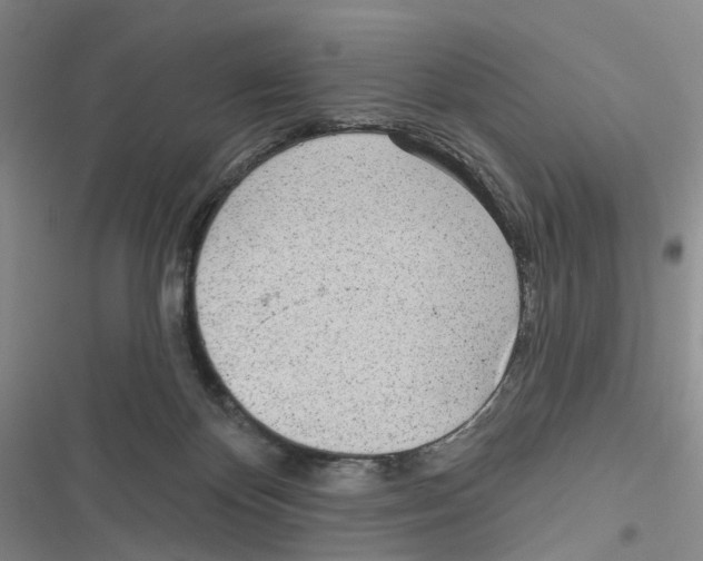 X0000116810124201001151152