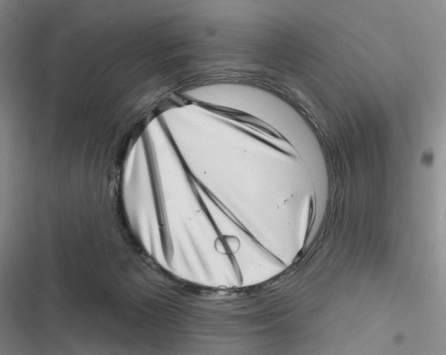 X0000116810125201001151152