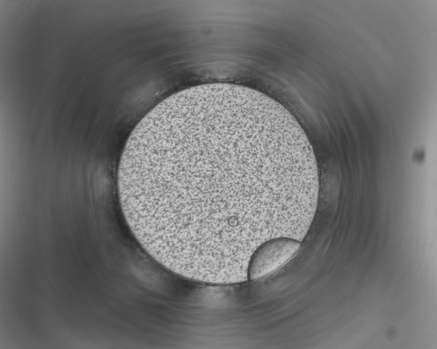 X0000116810126201001151152