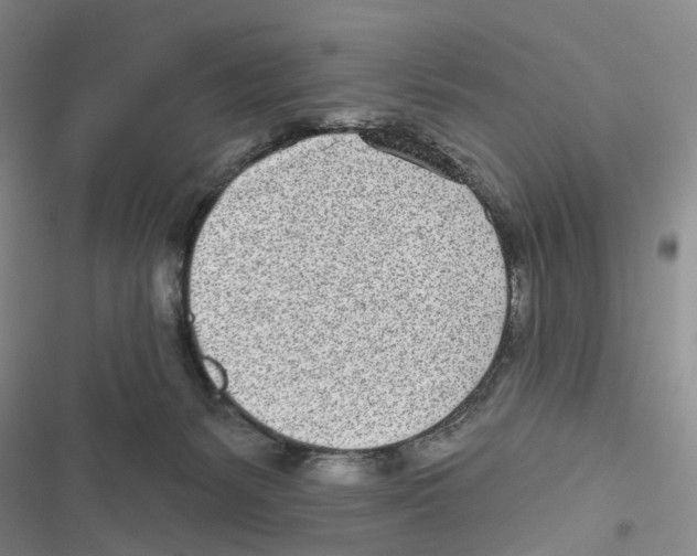 X0000116810127201001151152