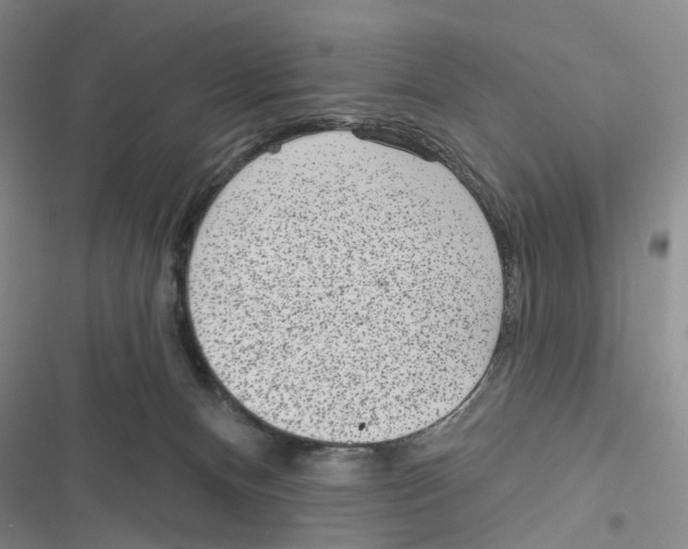 X0000116810128201001151152